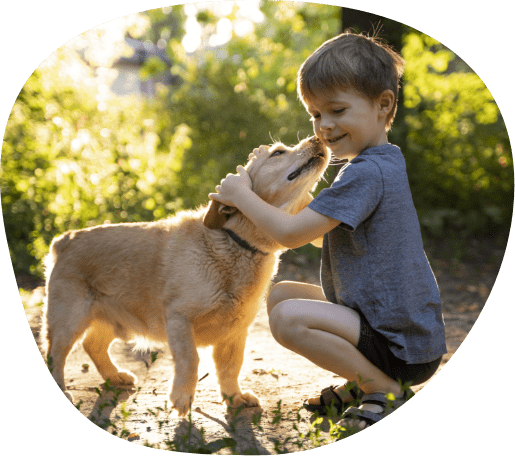 ÉDUCATION POSITIVE CANINE