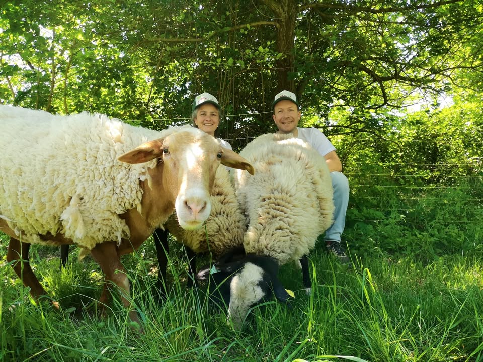 Association des Sacrés Compagnons