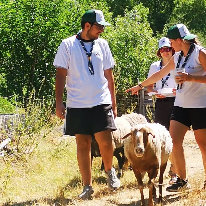 Association des Sacrés Compagnons