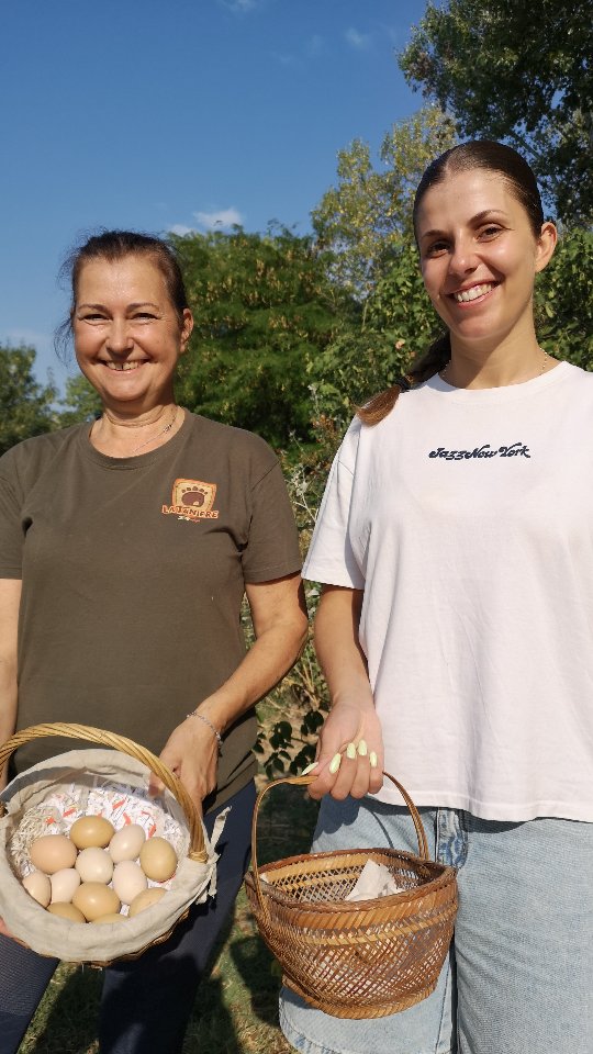 Association des Sacrés Compagnons