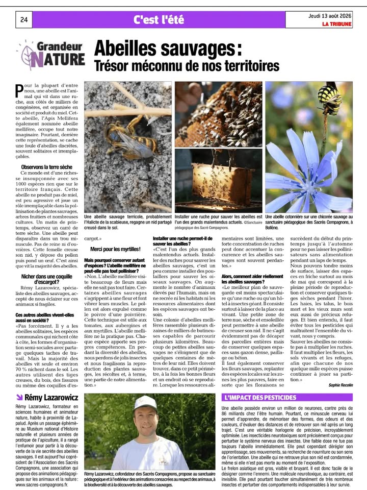 Association des Sacrés Compagnons